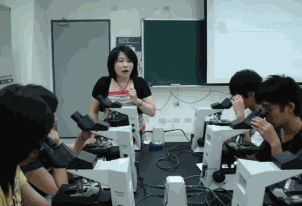 达文西科学实验班